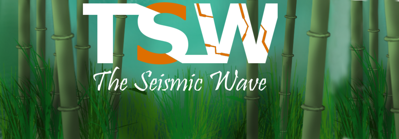 The Seismic Wave